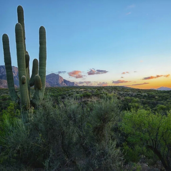 Meet your Posher, Karina - Picture 4 of 12